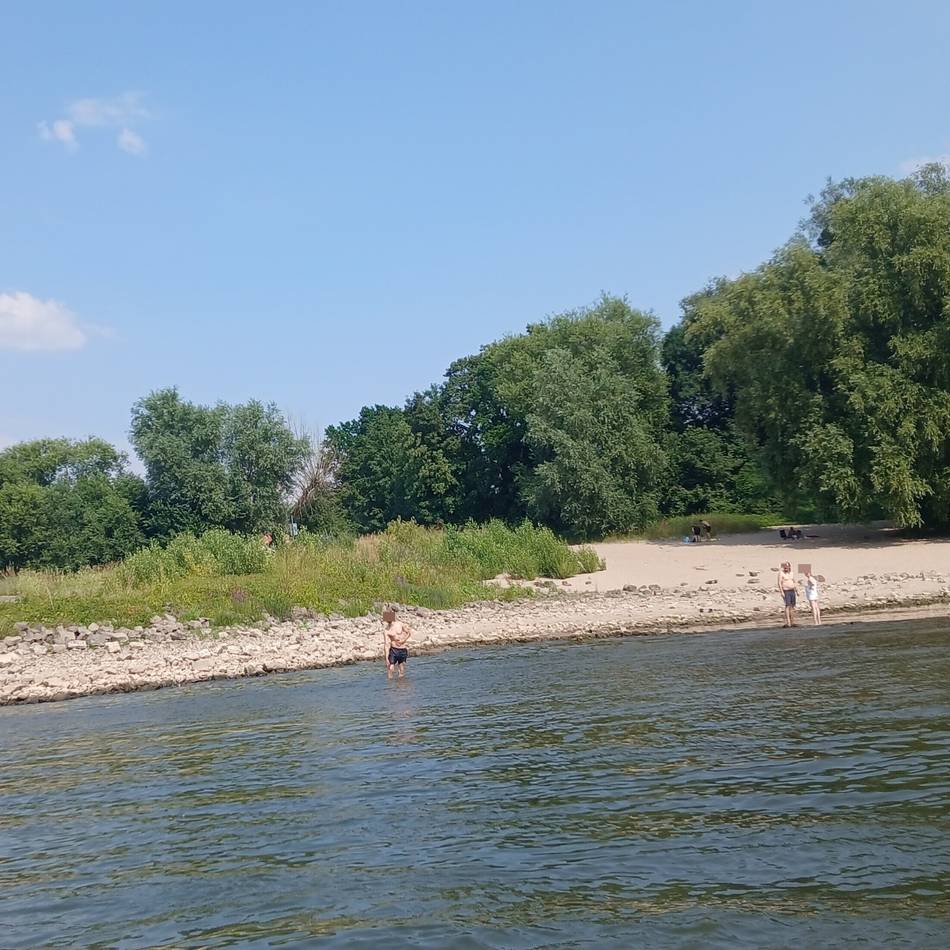 Unterwegs mit der DLRG am Rhein in Neuss: „Ich bin doch nur bis zu den Knien im Wasser“