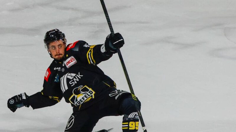 In der Meistersaison in Krefeld: Pinguine-Transfers im Check – Wer überzeugte, wer enttäuschte?