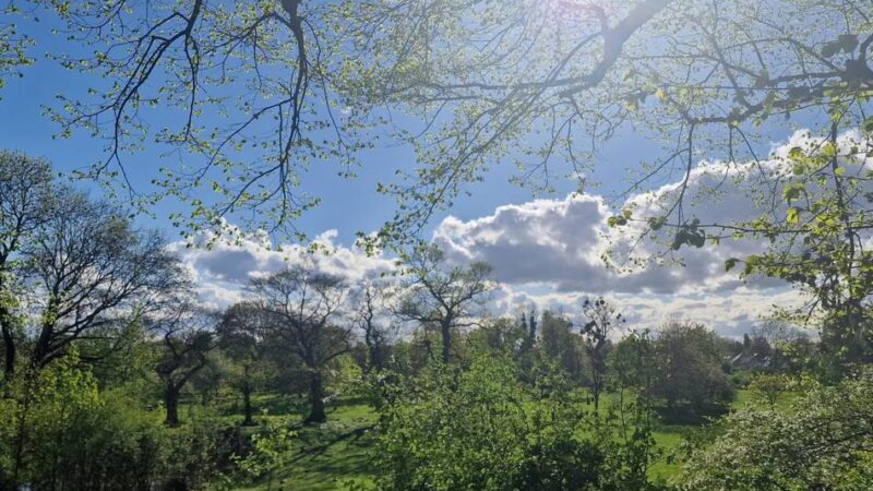 Naturschutzarbeit in Rheinberg: Nabu lädt auf die Streuobstwiese in Orsoy