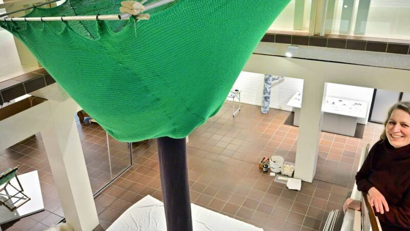 Rahmenprogramm in Krefeld-Linn: „Safari vor der Haustür“ im Textilmuseum