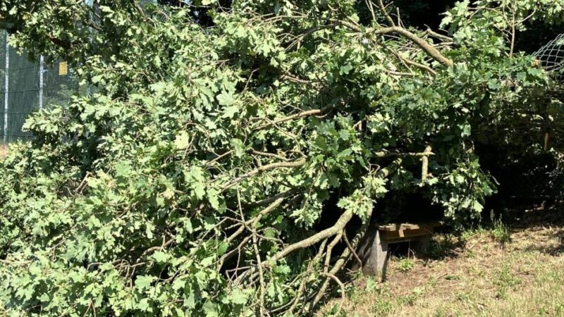 Unwetterbilanz im Kreis Viersen: Zahlreiche Sturmschäden durch Sommergewitter