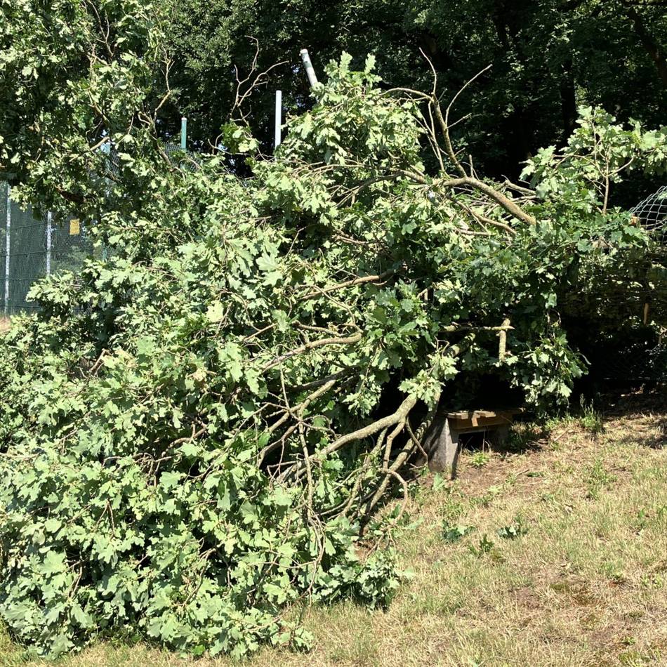 Unwetterbilanz im Kreis Viersen: Zahlreiche Sturmschäden durch Sommergewitter