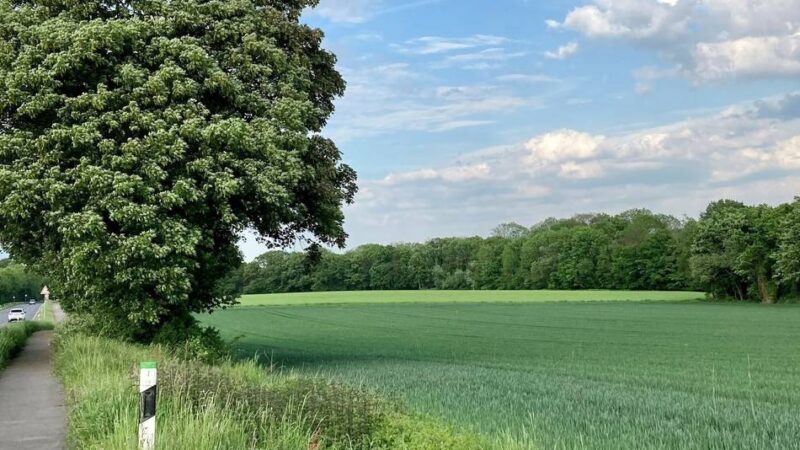 Standort in Leverkusen bleibt umstritten: Feuerwache Nord: Alles ausdiskutiert – findet die Stadt