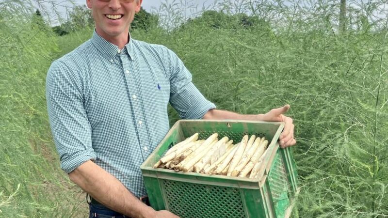 Spargelzeit endet am 24. Juni: „Das Saisondenken geht bei vielen flöten“