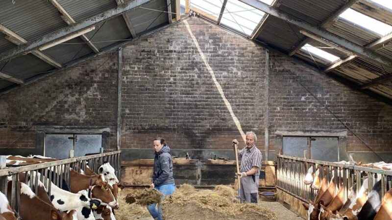 Hof in Kranenburg: Aktivisten und Landwirte packen gemeinsam an