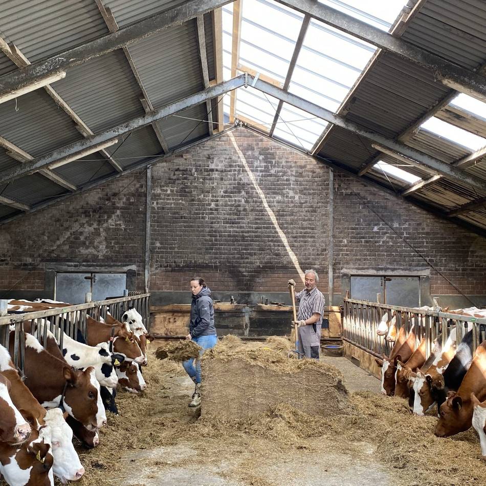 Hof in Kranenburg: Aktivisten und Landwirte packen gemeinsam an