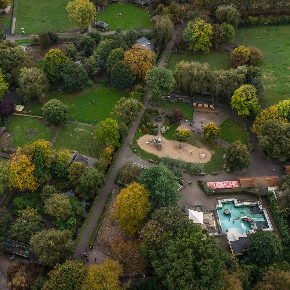 Schwelender Konflikt um Zuschuss und Flächen: Kleve braucht den Tiergarten, aber der Tiergarten auch Kleve