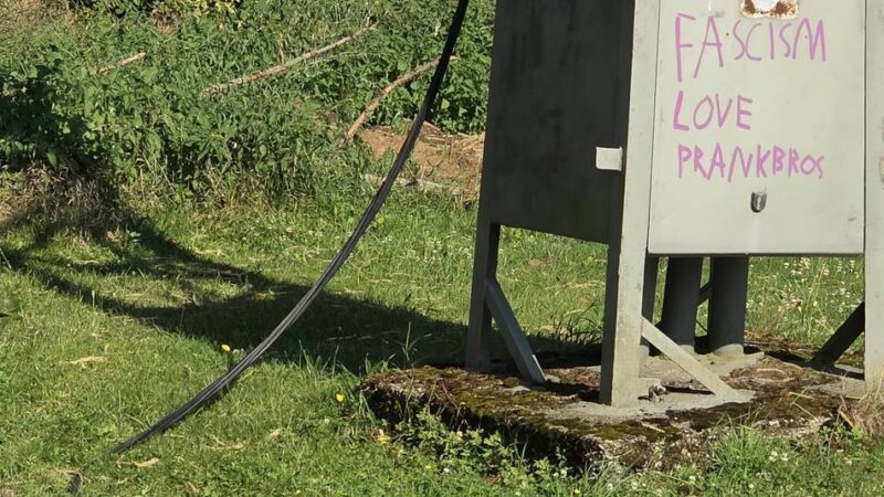 Feuerwehreinsatz in der Nacht: Gewittersturm ließ Bäume umstürzen und Kabel reißen