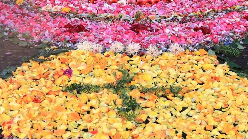 Fronleichnam in Meerbusch: Blumenteppich-Tradition soll in Büderich neu aufleben