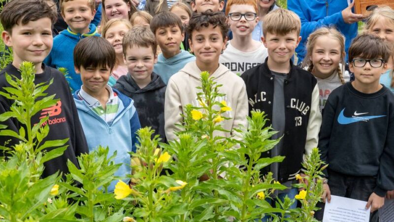 Schlosspark in Neersen: Kinder gestalten neue Schmetterlingstafeln