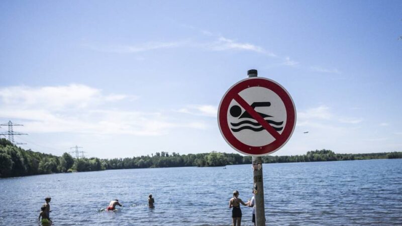 Schwimmen in Düsseldorf: Ratinger ertrinkt im Angermunder See – Badegäste kommen trotz Verbot