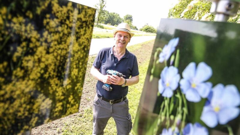 Naturkunde in Grevenbroich: Vandalismus-Schäden beseitigt – Gustorfer „Käfer-Allee“ blüht neu auf