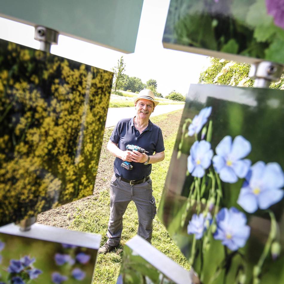 Naturkunde in Grevenbroich: Vandalismus-Schäden beseitigt – Gustorfer „Käfer-Allee“ blüht neu auf