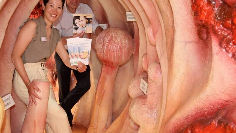 Rathaus-Galerie in Leverkusen: Gesundheitstag weicht der Hitze – und lockt mit Darm-Tunnel