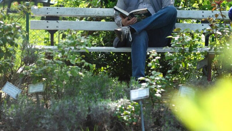 Mit dem Experten durchs Gartenjahr: „Ab und an auch mal nichts tun“