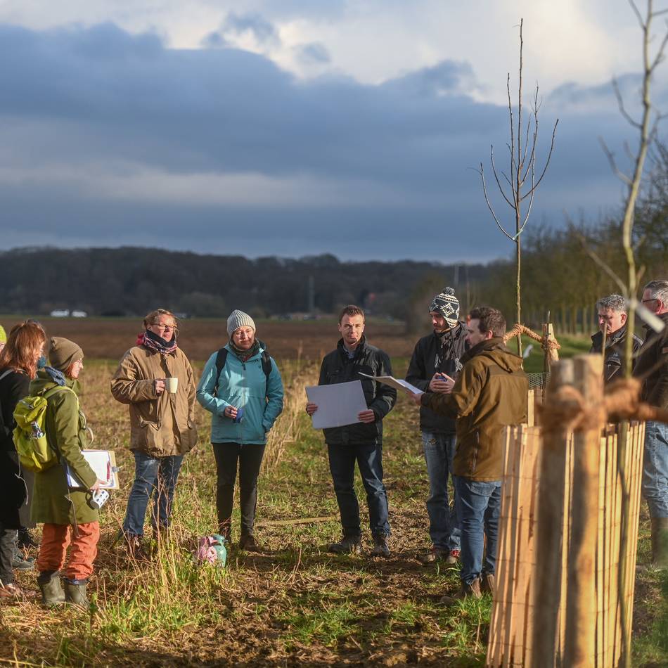 Klimaanpassung am Niederrhein: Hochschule Rhein-Waal lädt zu Begehung eines Agroforsts ein