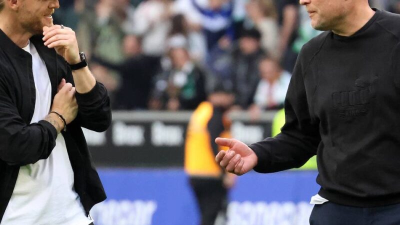 Umfrage nach der Saison: Schröders Tatkraft kommt an bei den Borussia-Fans – wieder mehr Zustimmung für Polanski