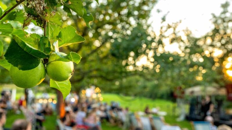 Veranstaltung auf der Streuobstwiese: Science-Slam auf der Apfelwiese