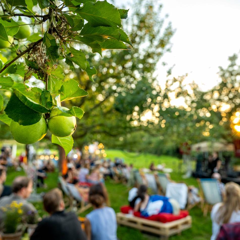 Veranstaltung auf der Streuobstwiese: Science-Slam auf der Apfelwiese