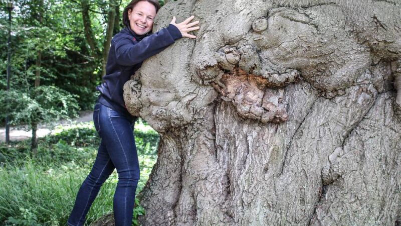 Großgrün in Grevenbroich: Naturschützer suchen markante und bedeutsame Bäume