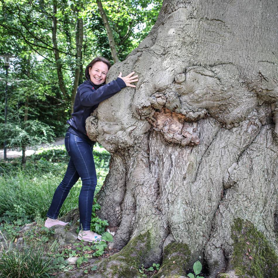 Großgrün in Grevenbroich: Naturschützer suchen markante und bedeutsame Bäume