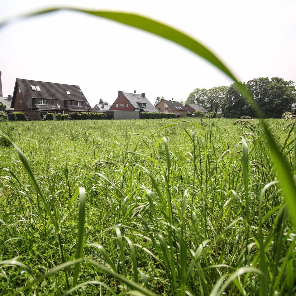 Außenanlagen in Grevenbroich: So pflegt die Stadt ihre Grünflächen