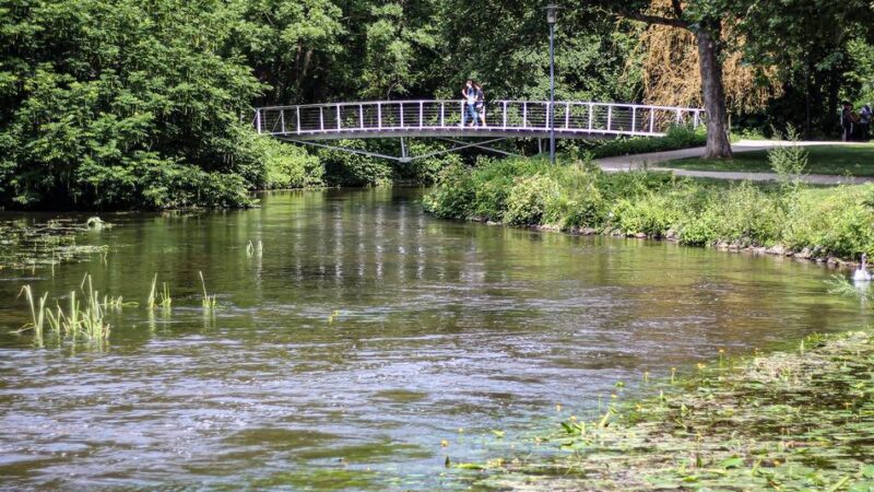 Kontroverse um Fluss-Umbau: Wevelinghovener gründen die „IG Erft“