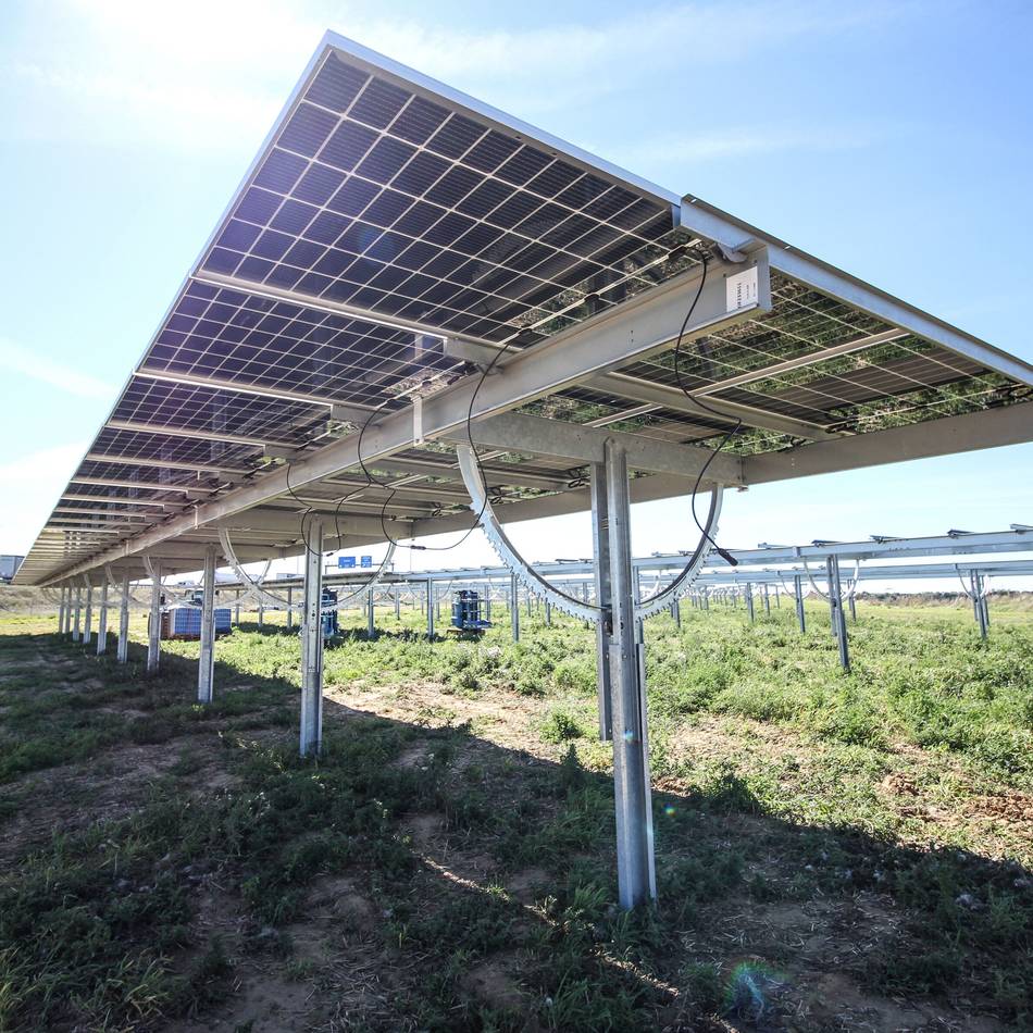 Geplanter Solarpark in Radevormwald: Rinder und Photovoltaik teilen sich Fläche in Heide