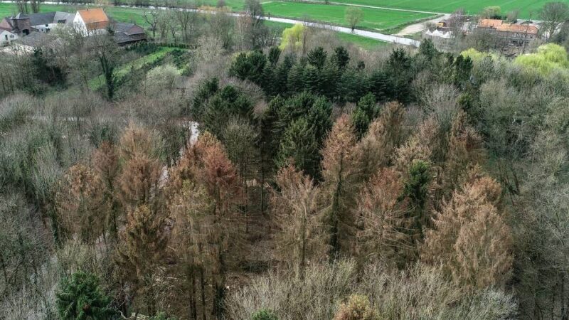 Private oderöffentliche Brunnen: Gocher Trinkwasser laut Stadtwerken völlig unbedenklich