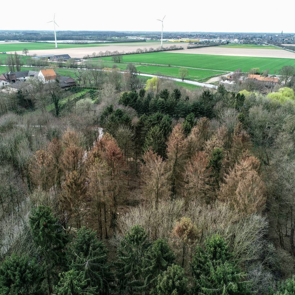 Private oderöffentliche Brunnen: Gocher Trinkwasser laut Stadtwerken völlig unbedenklich