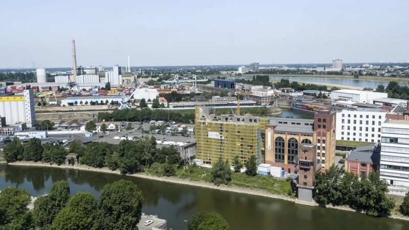 Neues Quartier in Düsseldorf: Mehr als 400 Bäume sollen im Hafen gefällt werden – „das ist nicht mehr zeitgemäß“