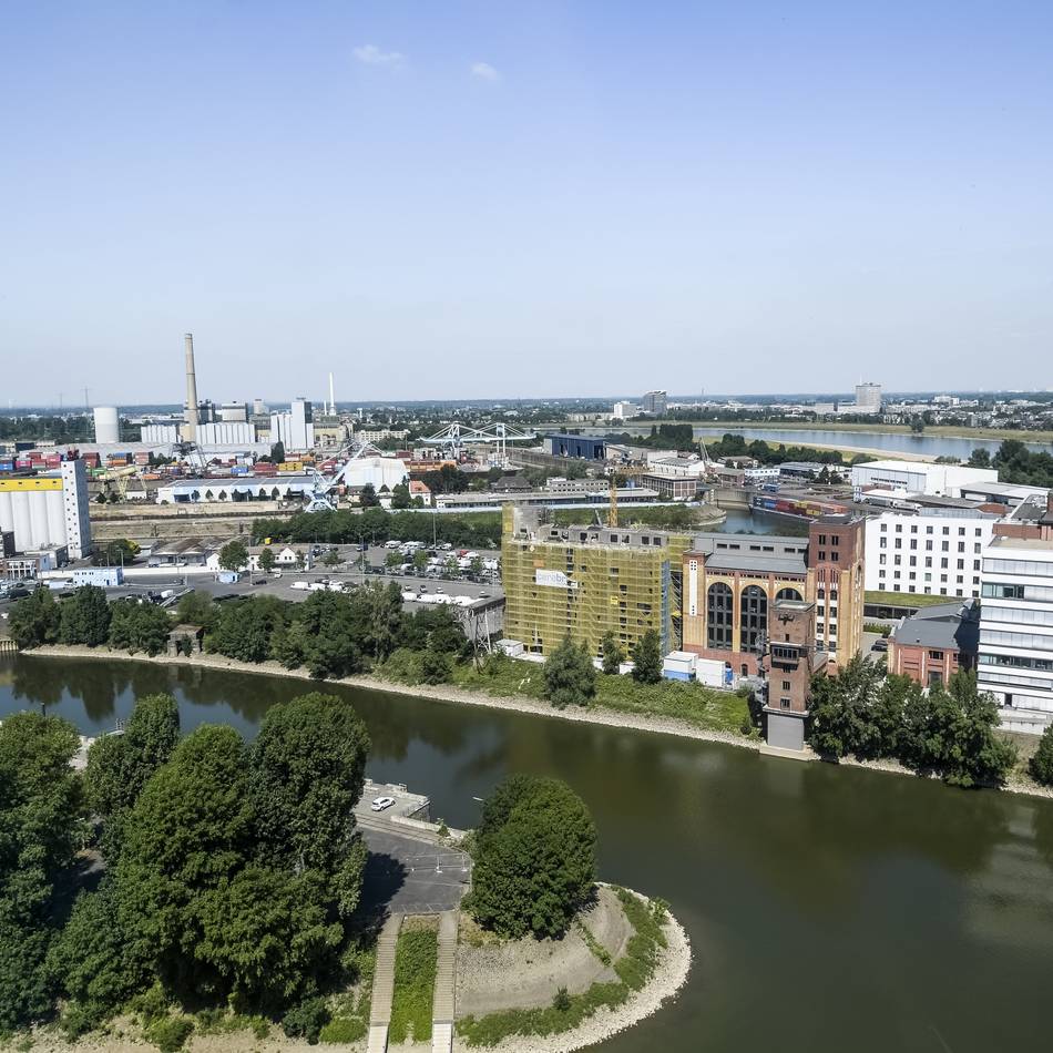 Neues Quartier in Düsseldorf: Mehr als 400 Bäume sollen im Hafen gefällt werden – „das ist nicht mehr zeitgemäß“