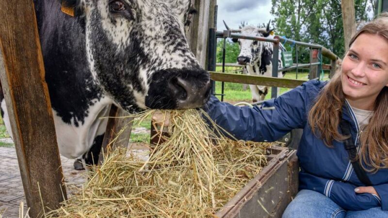 LVR und Kreis Mettmann: FÖJ startet im August – jetzt noch Plätze sichern