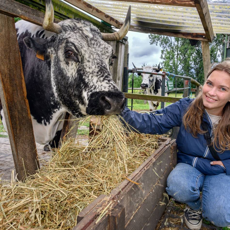LVR und Kreis Mettmann: FÖJ startet im August – jetzt noch Plätze sichern