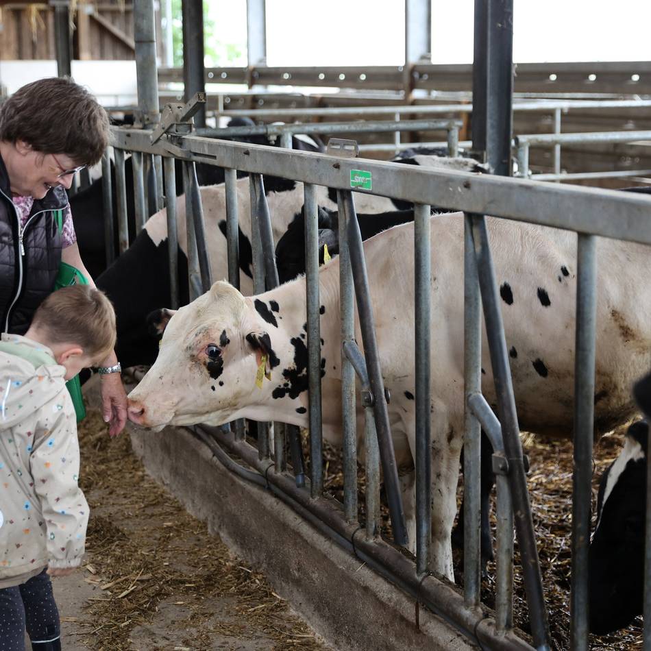 Landwirtschaft in Korschenbroich: So sieht es bei den Ammenkühen und in der „Kälbchen-Kita“ aus