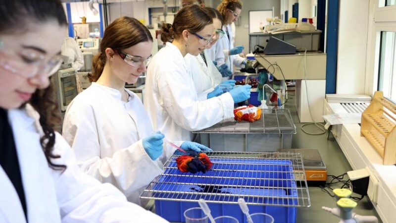 Textilwirtschaft im Wandel: Wie die Hochschule Niederrhein die Krise meistern will