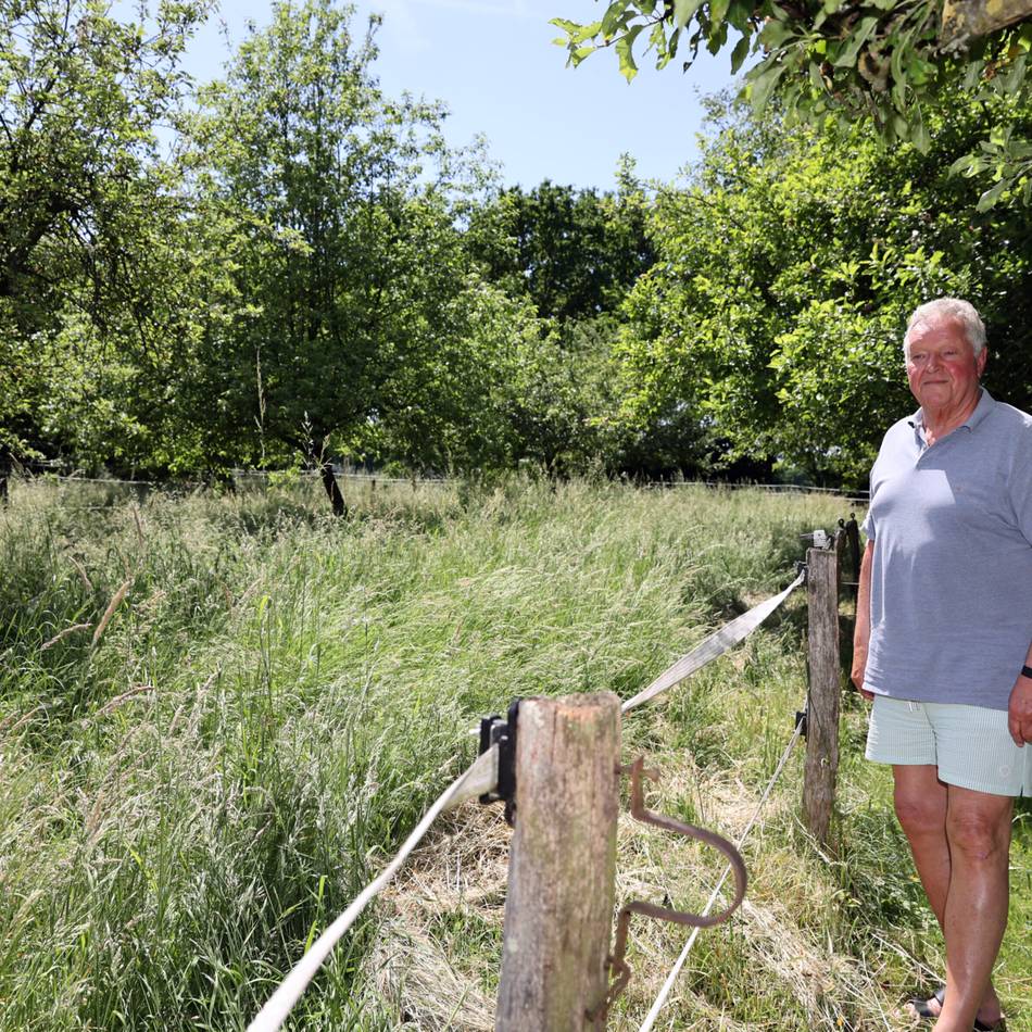 Grünfläche in Mönchengladbach-Leppershütte: Eine Wiese ist eine Wiese – wenn der Gutachter es für 1400 Euro bestätigt