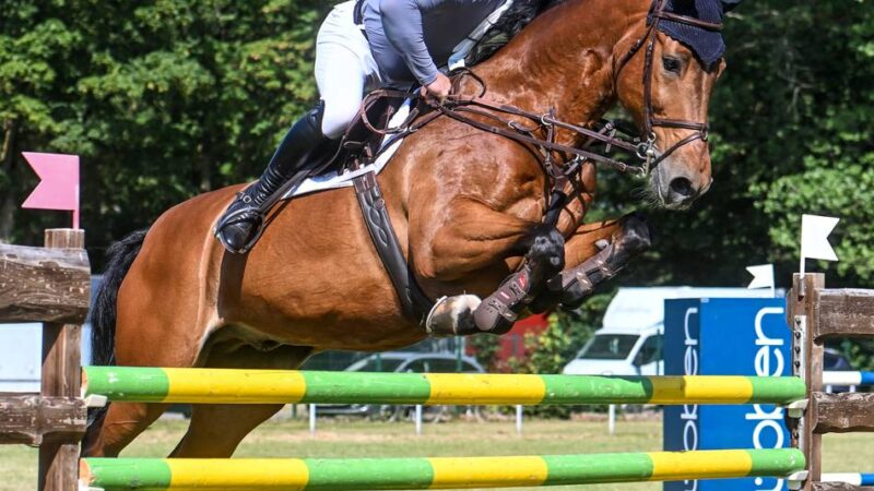 Viertägiges Reitevent: Rekordbeteiligung beim Sonsbecker Sommerturnier