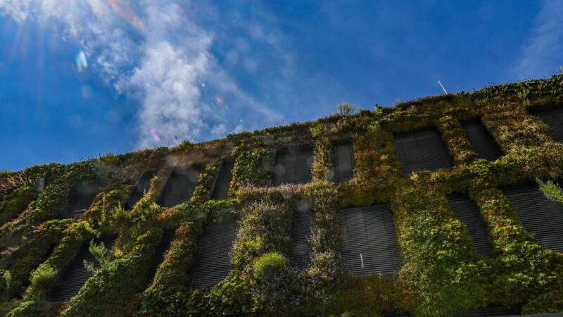 Berufsorientierung in Moers: Klimaschutz als Karriereoption – Enni schickt Azubis auf die Bühne