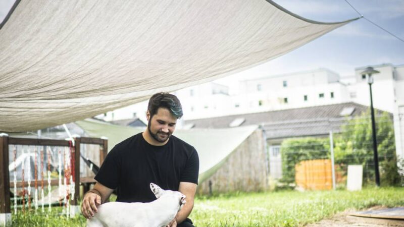 Kühlende Tipps für Katzen und Hunde: Hitzewelle im Tierheim – „Auch die Tiere stoßen zurzeit an ihr Limit“