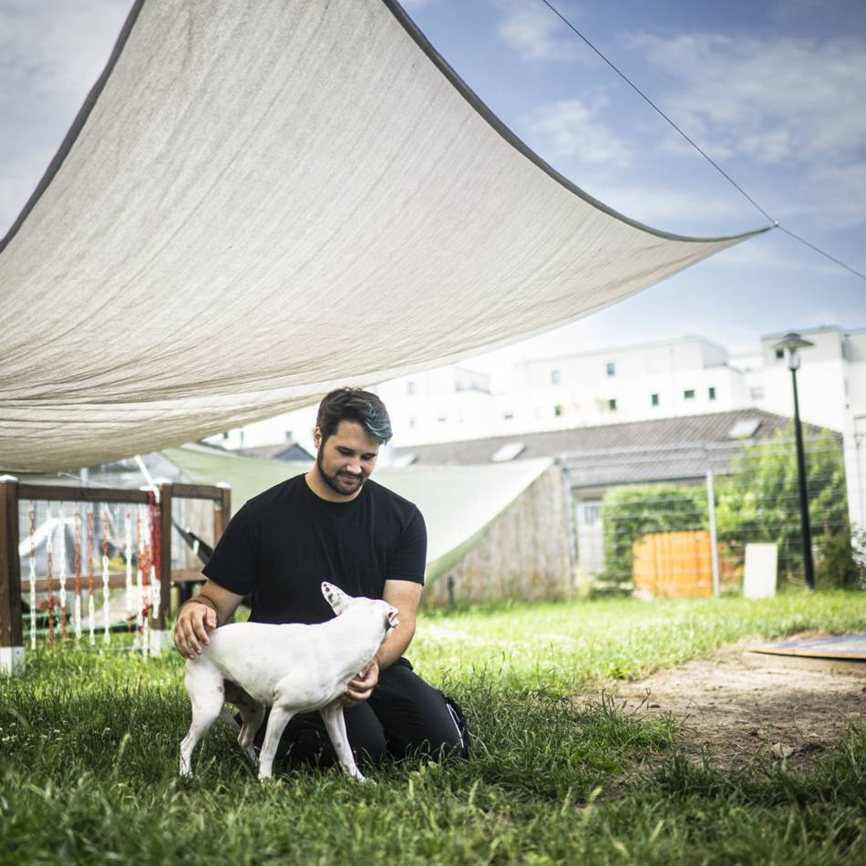 Kühlende Tipps für Katzen und Hunde: Hitzewelle im Tierheim – „Auch die Tiere stoßen zurzeit an ihr Limit“