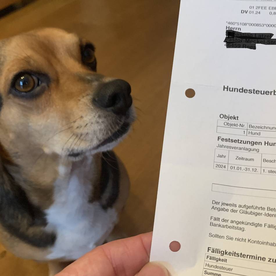 Für mehrere Tiere wird es teuer: Hundesteuer – wichtige Einnahmequelle auch für Kevelaer