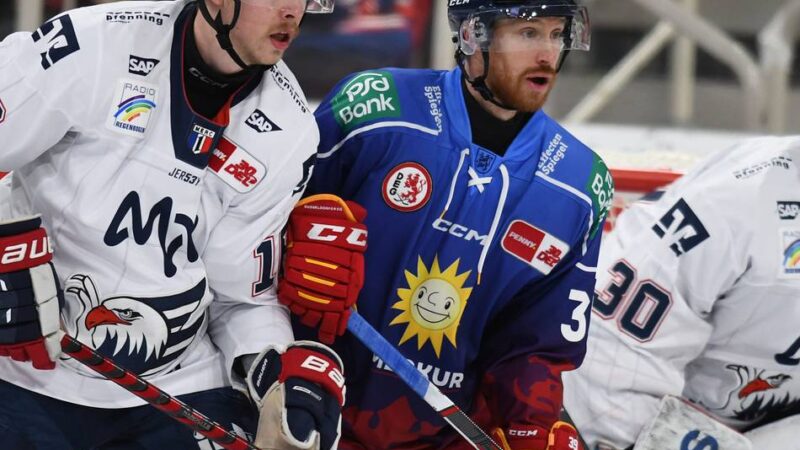 Transfergerüchte aus Krefeld: Adler-DNA für die Pinguine?