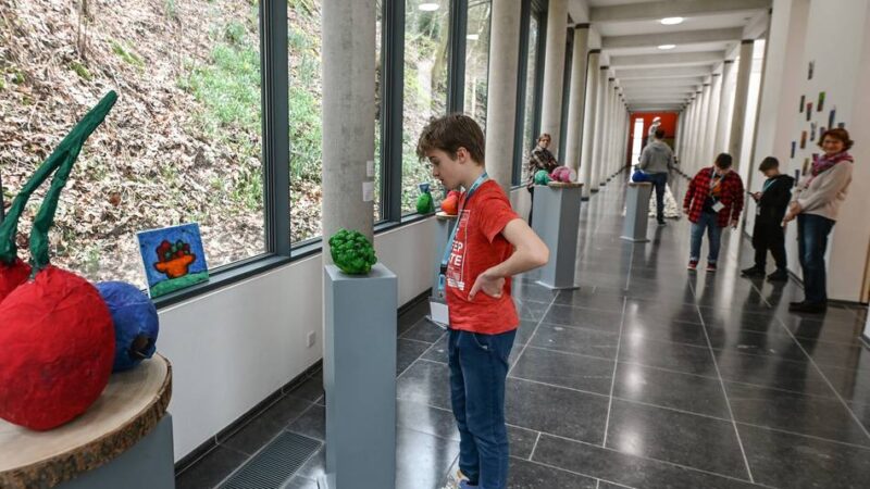 Hitzige Debatte im Rat: Klever Politik will das Profil des Museums Kurhaus schärfen