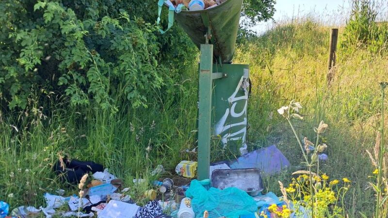 Vorzeigeprojekt verkommt: Blau-Grünes Band in Jüchen ist ein trauriger Anblick
