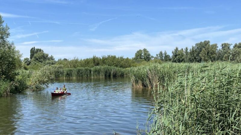 Nationalpark in den Niederlanden: Nicht am Meer und doch voller Wasser – so schön ist De Biesbosch