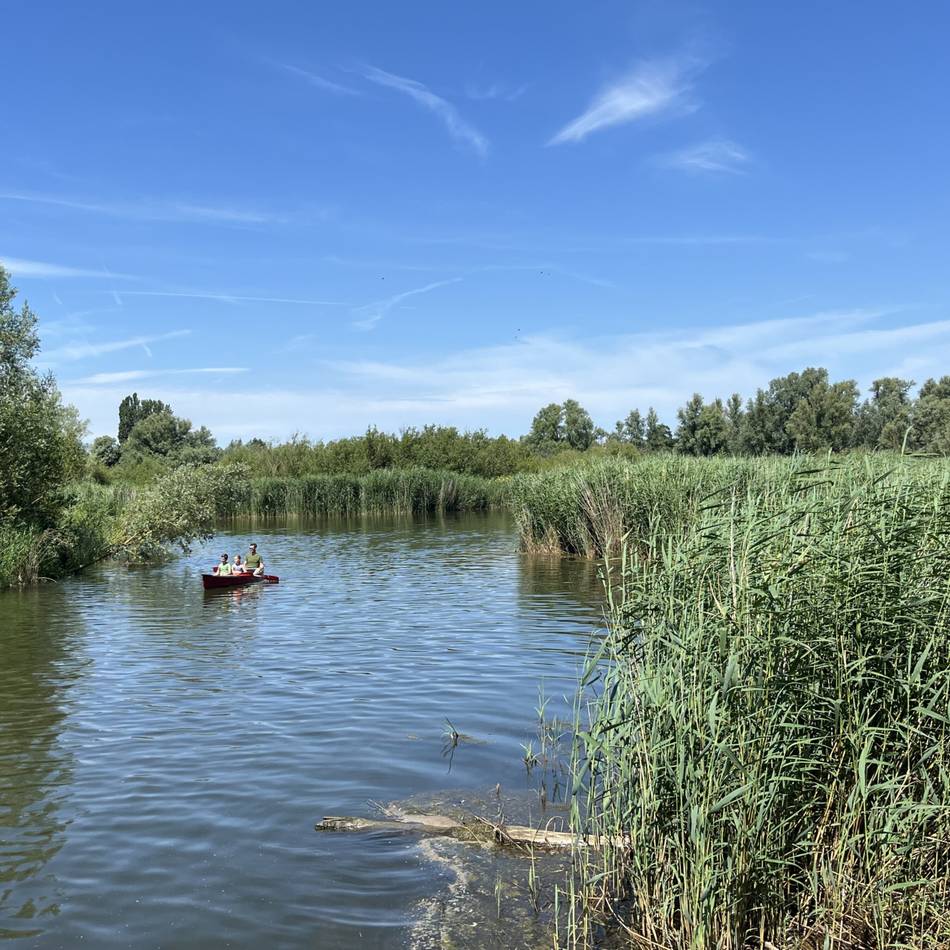 Nationalpark in den Niederlanden: Nicht am Meer und doch voller Wasser – so schön ist De Biesbosch