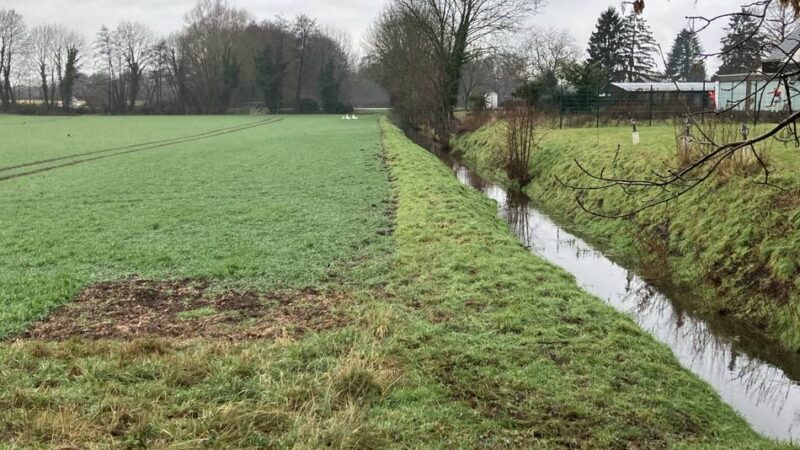 Naturschutz in Meerbusch: Kreis mahnt zu Rücksicht in Naturschutzgebieten