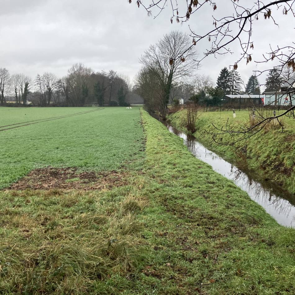 Naturschutz in Meerbusch: Kreis mahnt zu Rücksicht in Naturschutzgebieten
