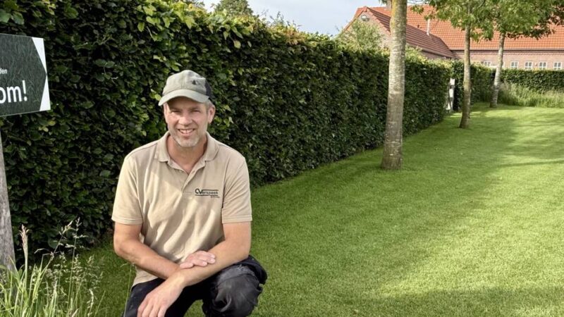 Steigende Nachfrage aus Deutschland: „Niederländer exportieren Rollrasen – das können wir einfach besser“